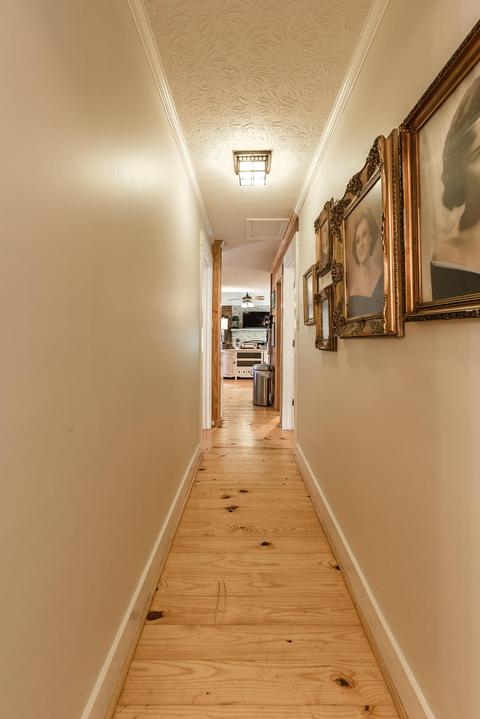 279 Lemaster Rd, Eclectic, AL 36024 photo 43
