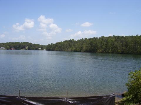 379 Point Windy Rd, Jacksons Gap, AL 36861 photo 18