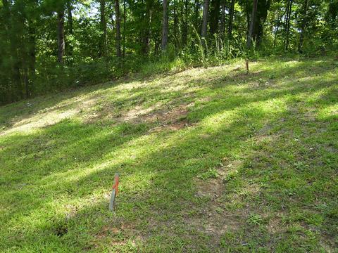 379 Point Windy Rd, Jacksons Gap, AL 36861 photo 20