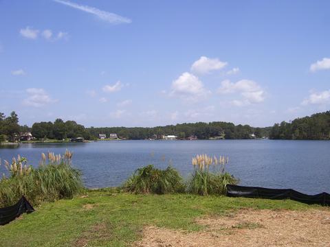 379 Point Windy Rd, Jacksons Gap, AL 36861 photo 14