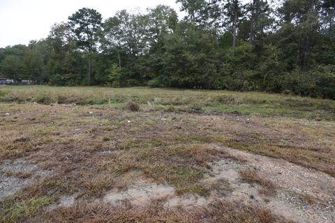130 Brookview Dr, Eclectic, AL 36024 photo 2