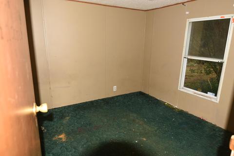 130 Brookview Dr, Eclectic, AL 36024 photo 5