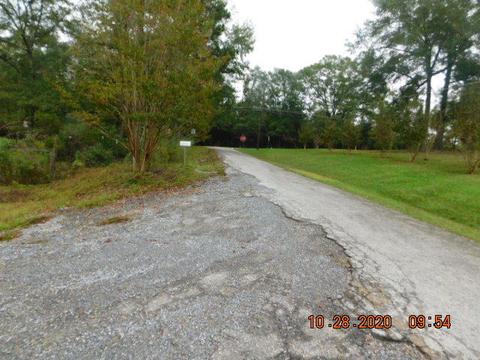 130 Brookview Dr, Eclectic, AL 36024 photo 18
