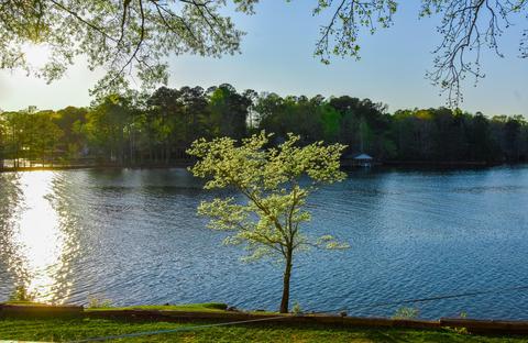 45 Plum Dr, Equality, AL 36026 photo 71