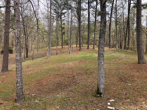 45 Plum Dr, Equality, AL 36026 photo 45