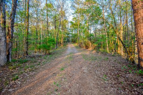 45 Plum Dr, Equality, AL 36026 photo 76