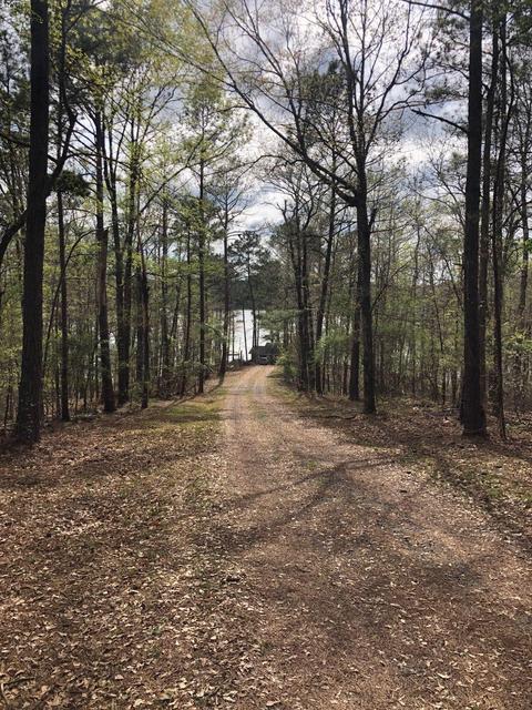 45 Plum Dr, Equality, AL 36026 photo 43
