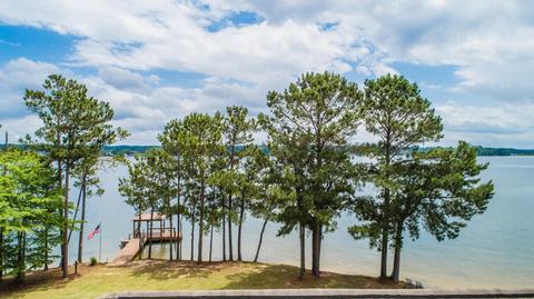 596 Mockingbird Rd, Jacksons Gap, AL 36861 photo 35
