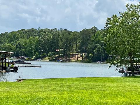315 Manoy Loop, Jacksons Gap, AL 36861 photo 28