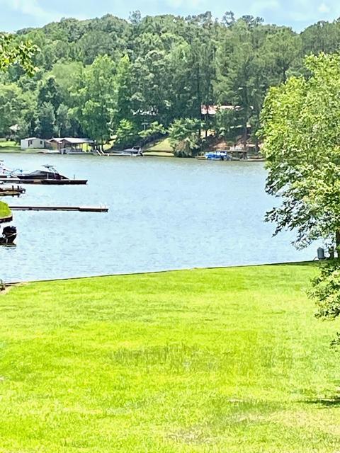 315 Manoy Loop, Jacksons Gap, AL 36861 photo 26