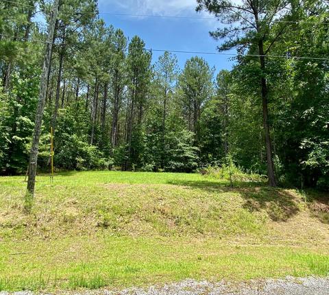315 Manoy Loop, Jacksons Gap, AL 36861 photo 27