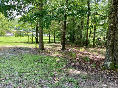 315 Manoy Loop, Jacksons Gap, AL 36861 photo 6