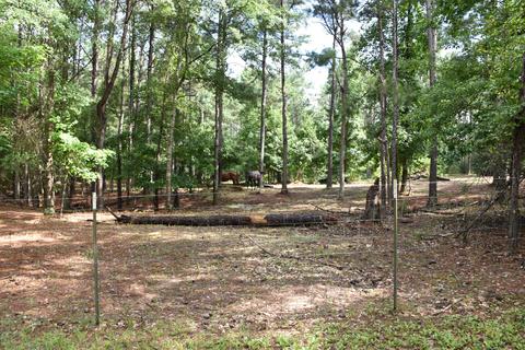 363 Union Rd, Eclectic, AL 36024 photo 38