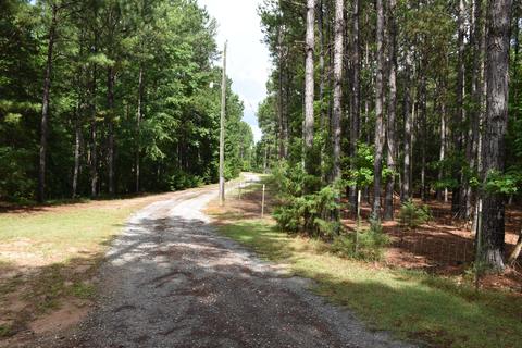 363 Union Rd, Eclectic, AL 36024 photo 43