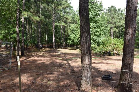 363 Union Rd, Eclectic, AL 36024 photo 39
