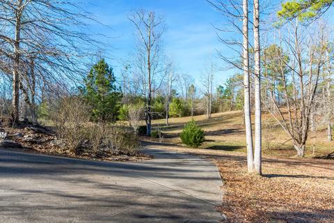 548 Prospect Rd, Eclectic, AL 36024 photo 43