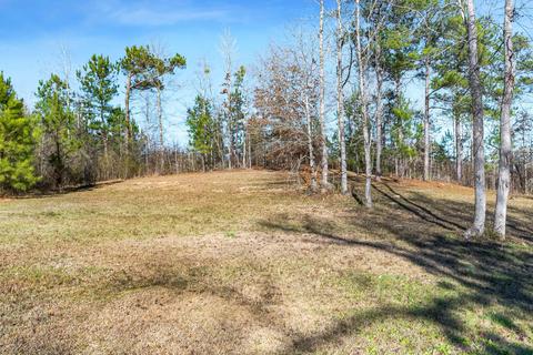 548 Prospect Rd, Eclectic, AL 36024 photo 34