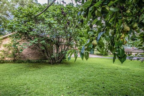 87 Pine Point Dr, Jacksons Gap, AL 36861 photo 29