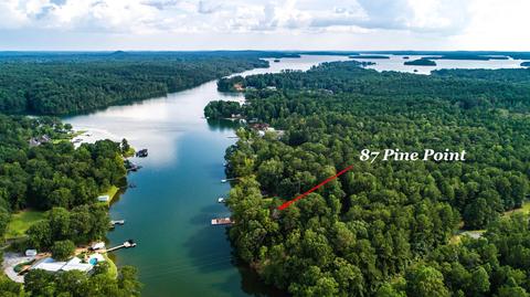 87 Pine Point Dr, Jacksons Gap, AL 36861 photo 6