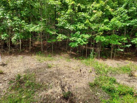 757 Sandy Ln, Dadeville, AL 36853