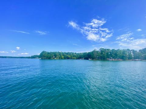 265 Cedar Dr, Equality, AL 36026 photo 13