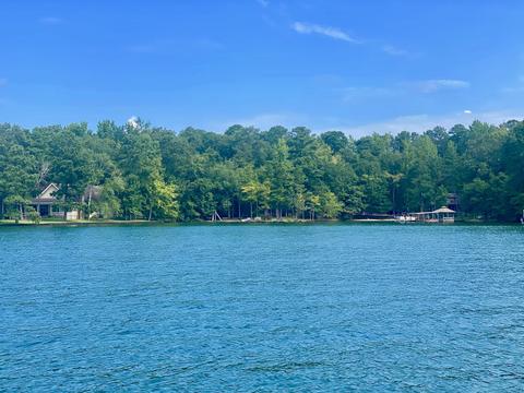 265 Cedar Dr, Equality, AL 36026 photo 14