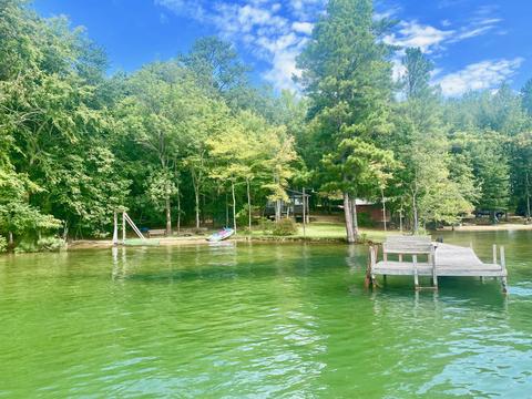 265 Cedar Dr, Equality, AL 36026 photo 8
