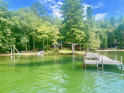 265 Cedar Dr, Equality, AL 36026 photo 1