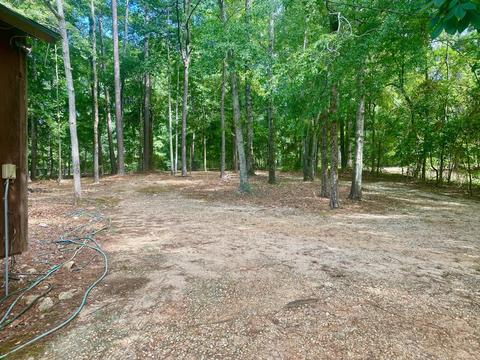 265 Cedar Dr, Equality, AL 36026 photo 5