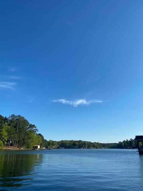 100 Maple Dr, Equality, AL 36026 photo 5