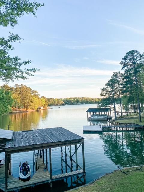 100 Maple Dr, Equality, AL 36026 photo 3