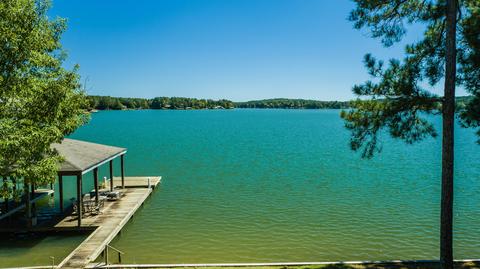 667 Needle Eye Rd, Equality, AL 36026 photo 15