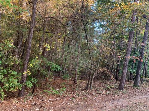 69 Long Leaf Way, Dadeville, AL 36853