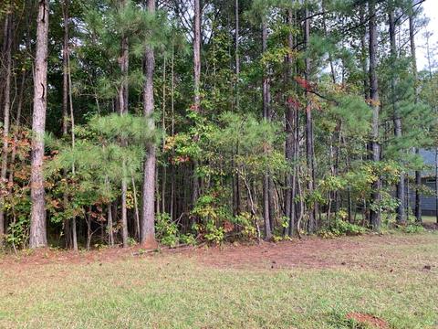 13 Stagecoach Rd, Dadeville, AL 36853