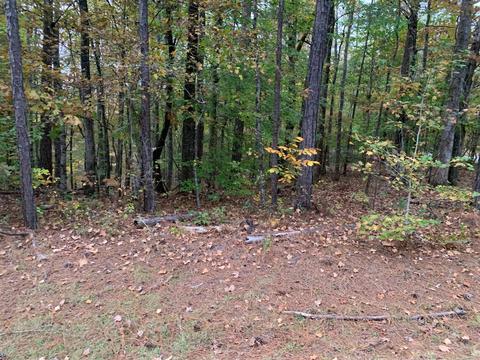 10 Fern Ridge Crt Crt, Dadeville, AL 36853