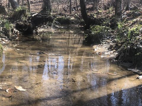 81 Acres, Alexander City, AL 35010