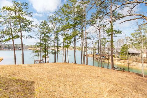 144 Dogpatch Hollow Pt, Eclectic, AL 36024 photo 37