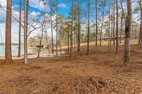 144 Dogpatch Hollow Pt, Eclectic, AL 36024 photo 32