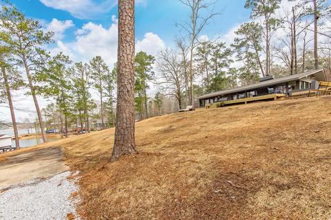 144 Dogpatch Hollow Pt, Eclectic, AL 36024 photo 30