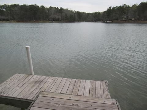 110 3rd Ave, Eclectic, AL 36024 photo 25