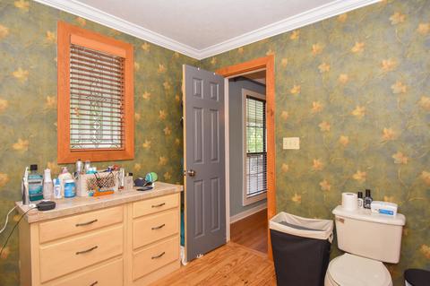 340 Mixed Rd, Eclectic, AL 36024 photo 41