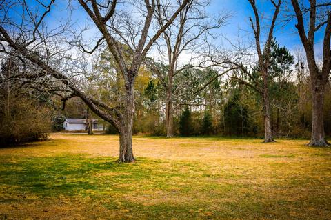 112 Line St, Samson, AL 36477 photo 5
