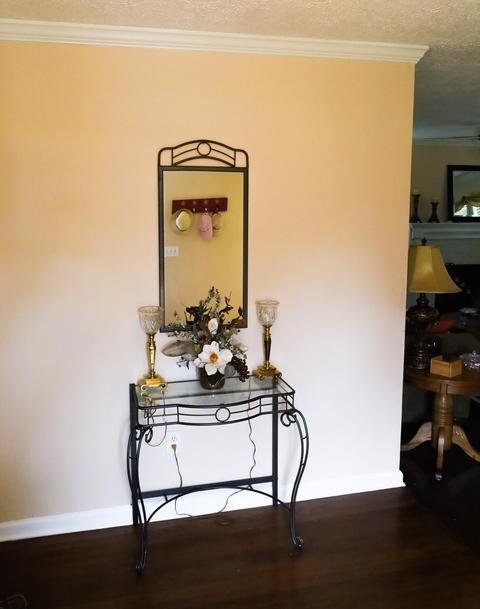 112 Line St, Samson, AL 36477 photo 9