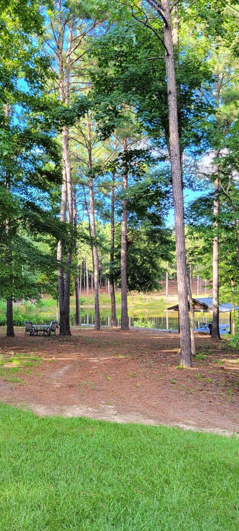 4439 Sand Hill Rd, Auburn, AL 36830