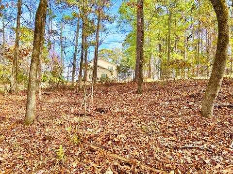 Lot 12 Weatherford Cir, Dadeville, AL 36853