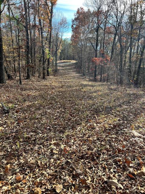 Bama Park Rd, Dadeville, AL 36853