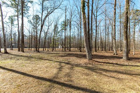 353 Moore Rd, Cecil, AL 36013 photo 4