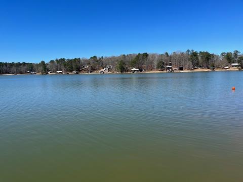 9 War Eagle Dr, Equality, AL 36026 photo 6