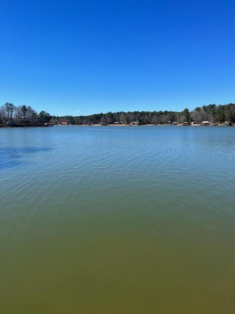 9 War Eagle Dr, Equality, AL 36026 photo 5