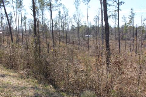 Madwind Rd, Jacksons Gap, AL 36861 photo 6